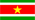 Drapeau Suriname