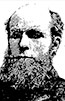 Portrait de Carl Otto